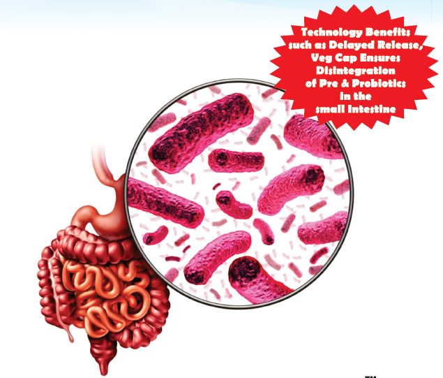 ZOMPRO gastrointestinal illustration